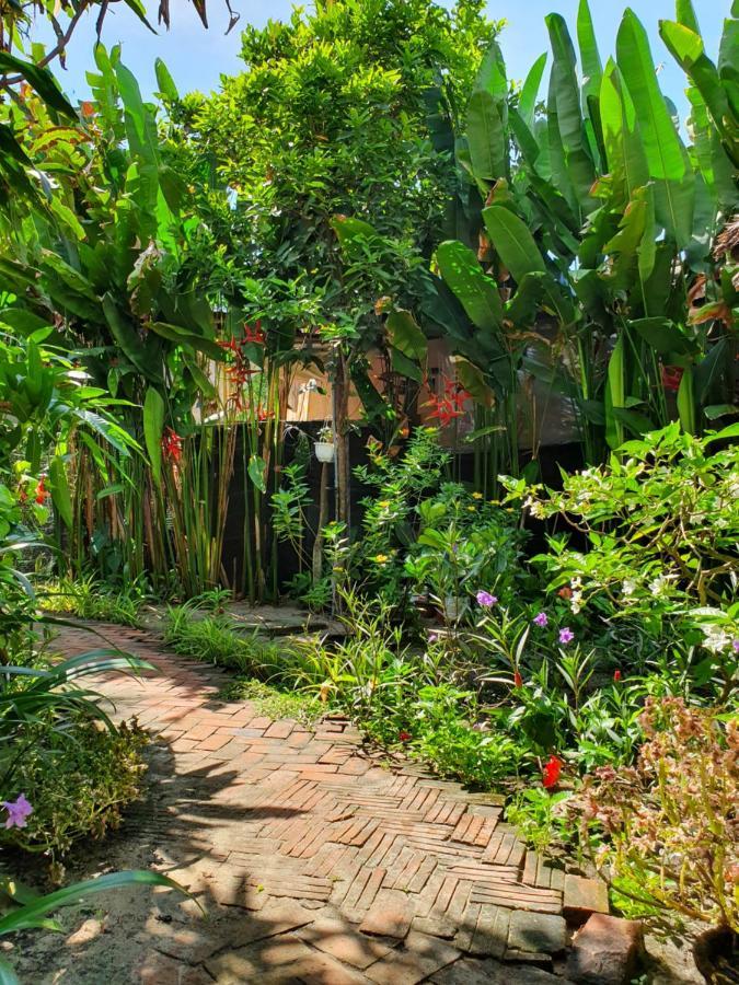 An Bang Hideaway Villa Hội An Ngoại thất bức ảnh
